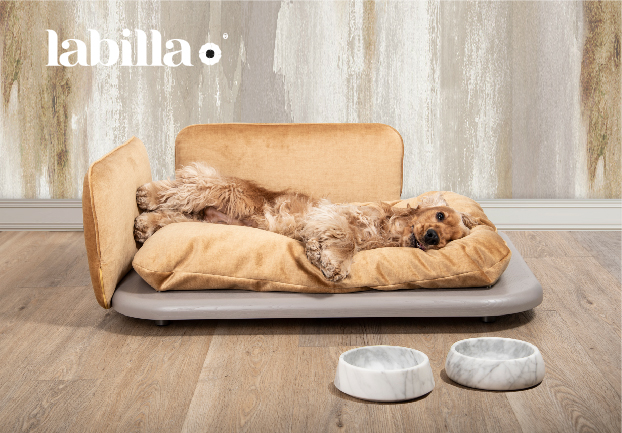 Furniture and Fashion products for Pets